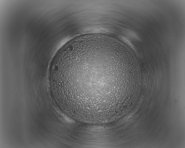 X0000061101071200511241610