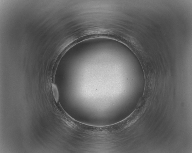 X0000061101073200511241610