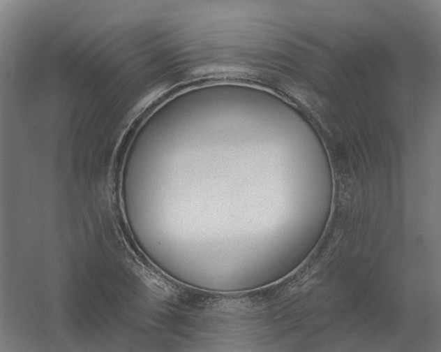 X0000061101074200511241610