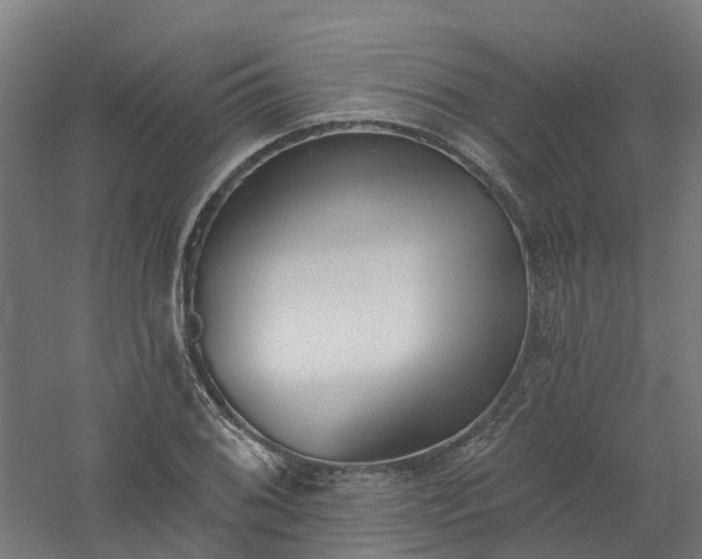 X0000061101076200511241610