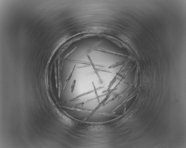 X0000061101083200511241609