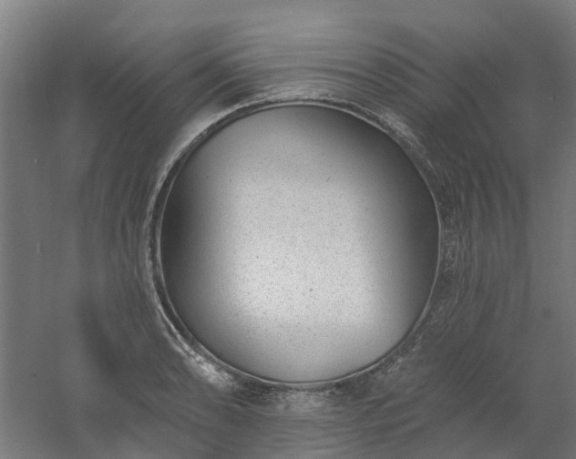 X0000061101086200511241609