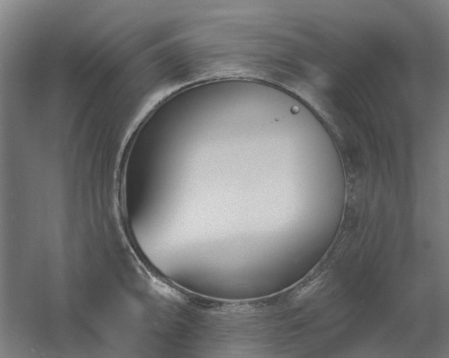 X0000061101094200511241609