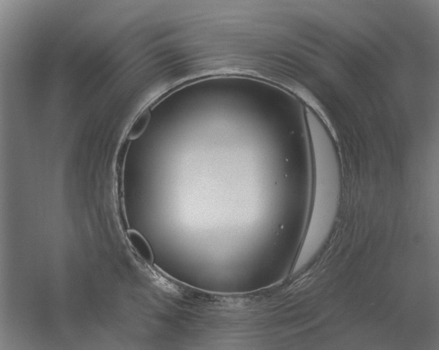 X0000061101096200511241609