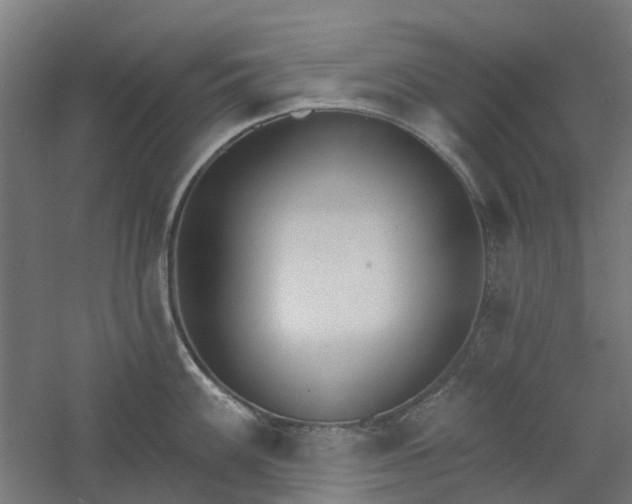 X0000061101100200511241609