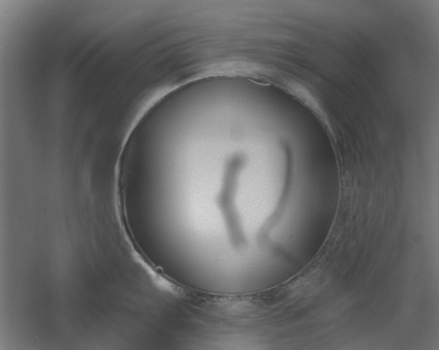 X0000061101103200511241609