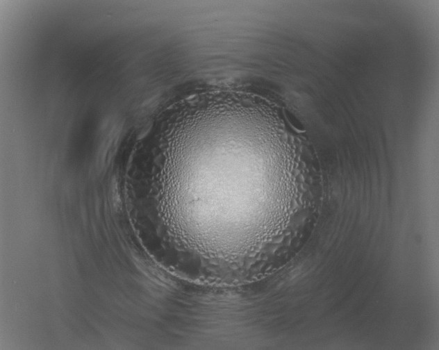 X0000061101106200511241608