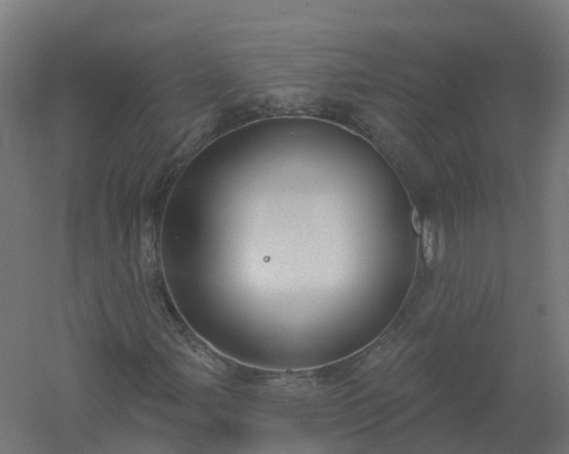X0000061101107200511241608