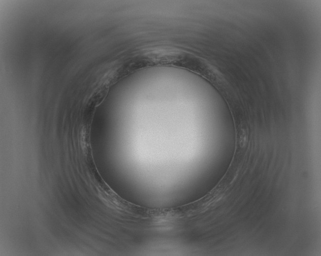 X0000061101108200511241608