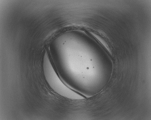 X0000061101110200511241608