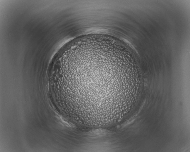 X0000061101117200511241608