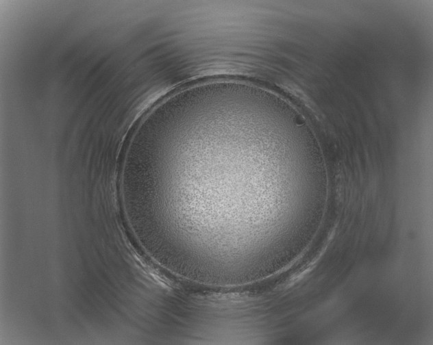 X0000061101121200511241609