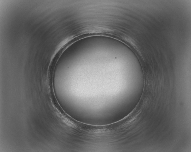X0000061101122200511241609