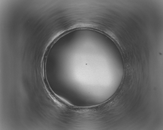 X0000061101127200511241609
