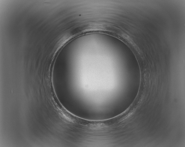 X0000061101129200511241609