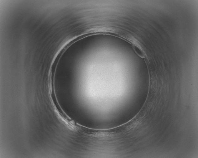 X0000061101132200511241609