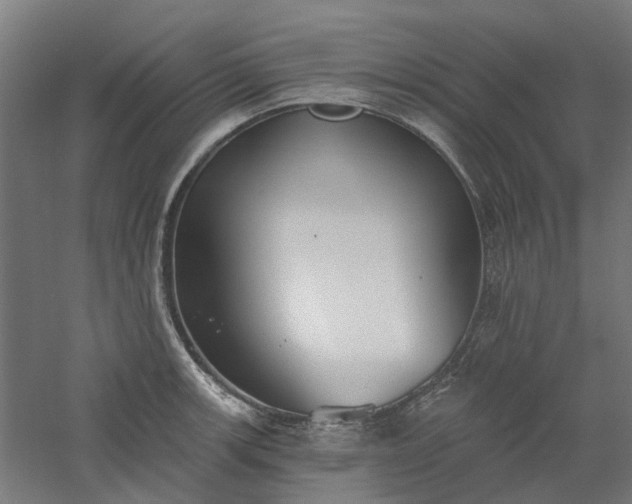 X0000061101139200511241609