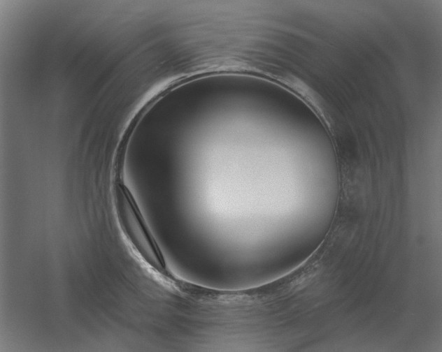 X0000061101142200511241609