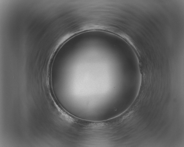 X0000061101143200511241609