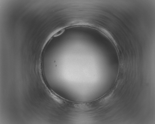 X0000061101149200511241609