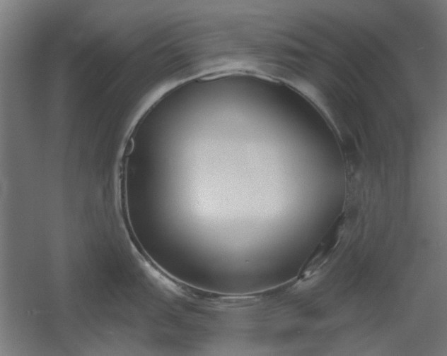 X0000061101151200511241609