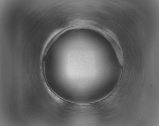 X0000061101152200511241609