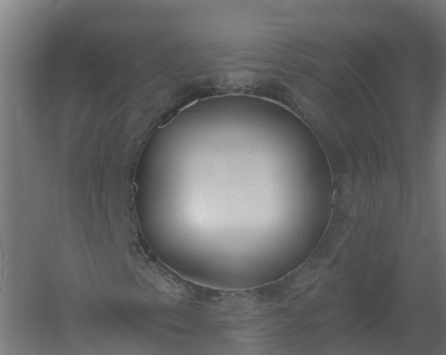 X0000061101153200511241608