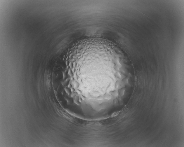 X0000061101154200511241608