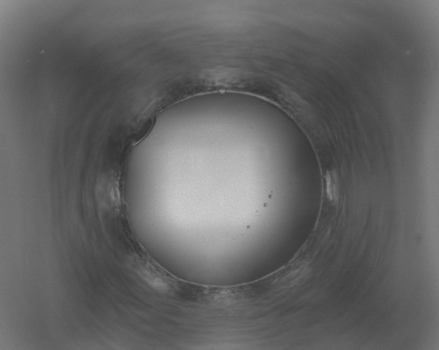 X0000061101155200511241608