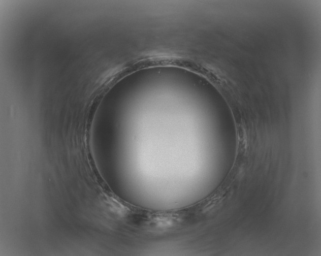 X0000061101157200511241608