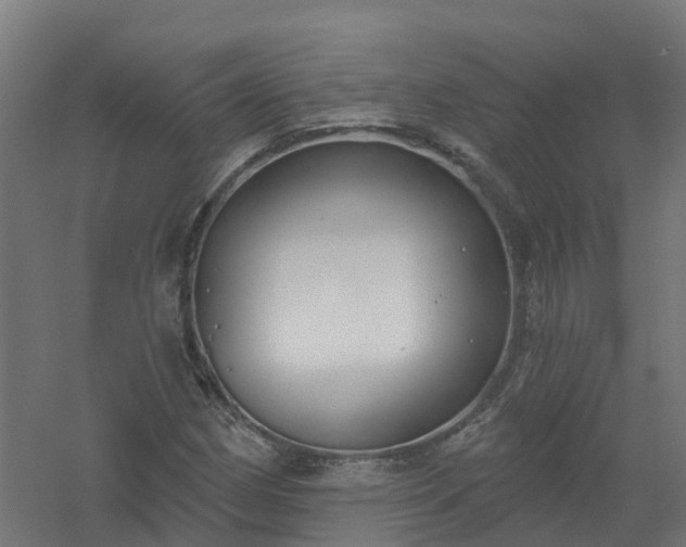 X0000061101162200511241608