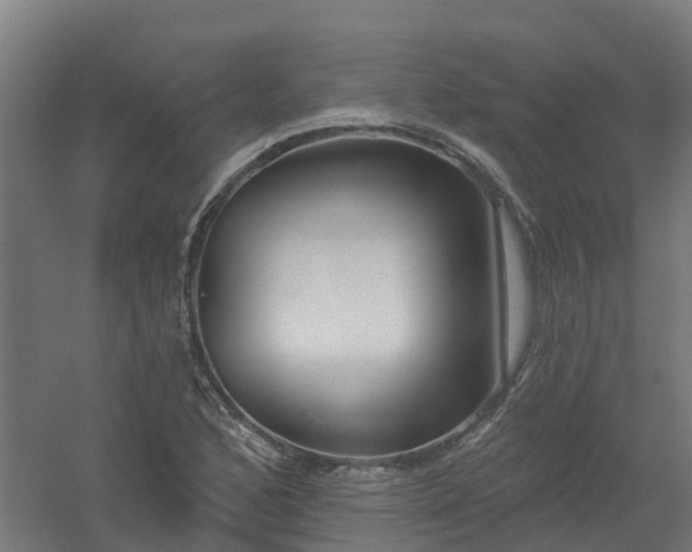 X0000061101168200511241608