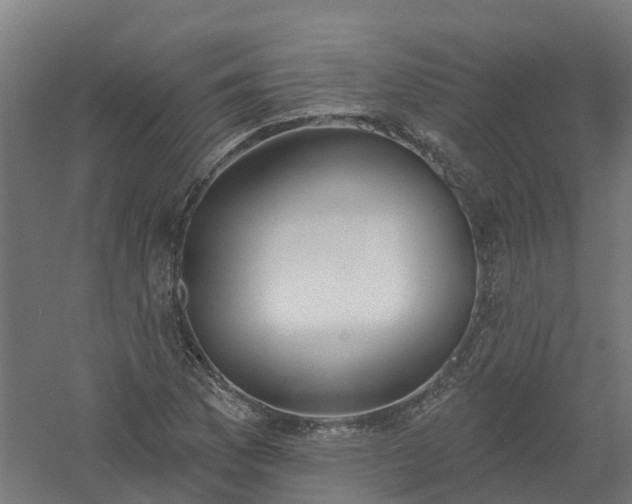 X0000061101169200511241608