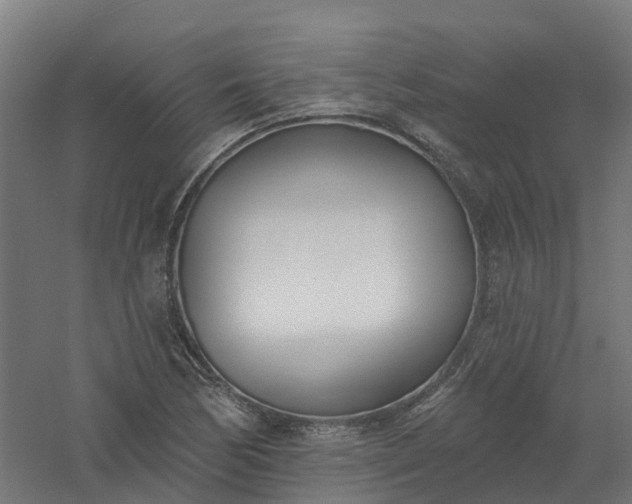 X0000061101170200511241608