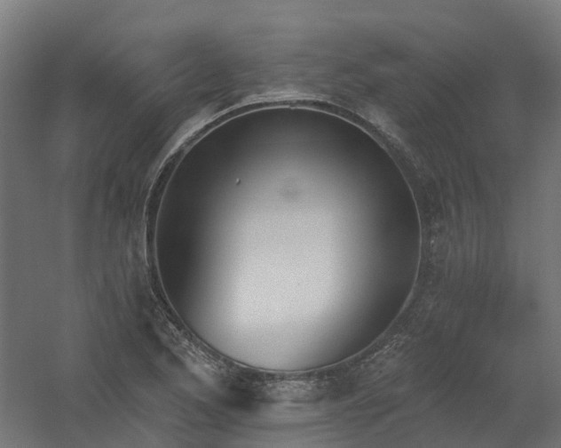 X0000061101173200511241608