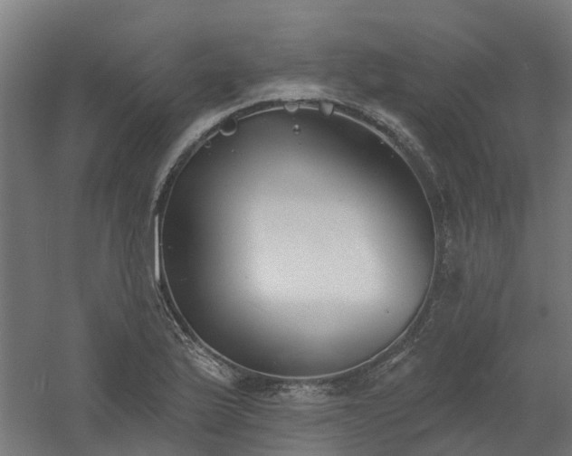 X0000061101175200511241608