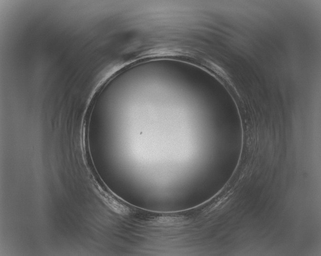 X0000061101179200511241608