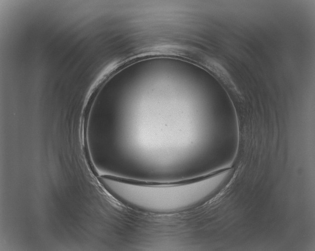 X0000061101180200511241608