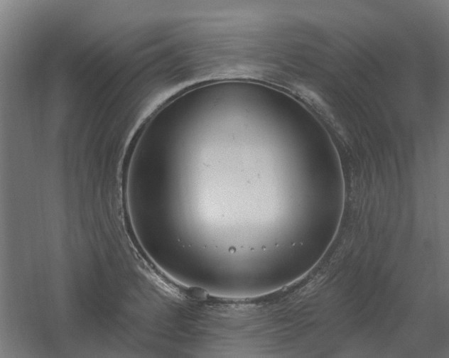 X0000061101184200511241608