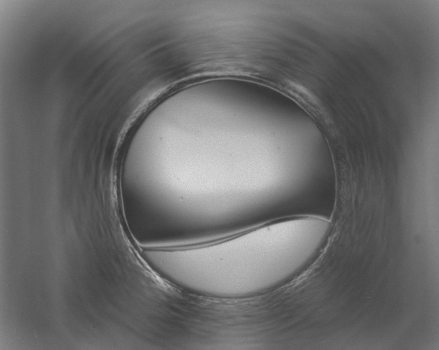 X0000061101188200511241608