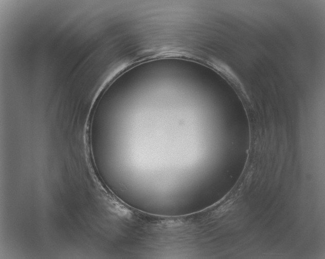 X0000061101190200511241608