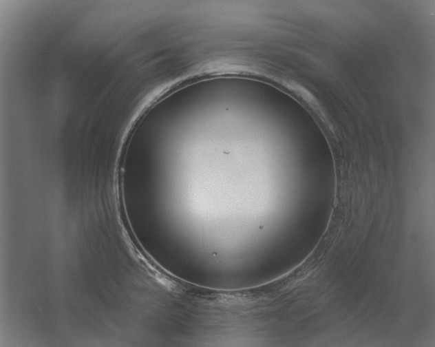 X0000061101191200511241608