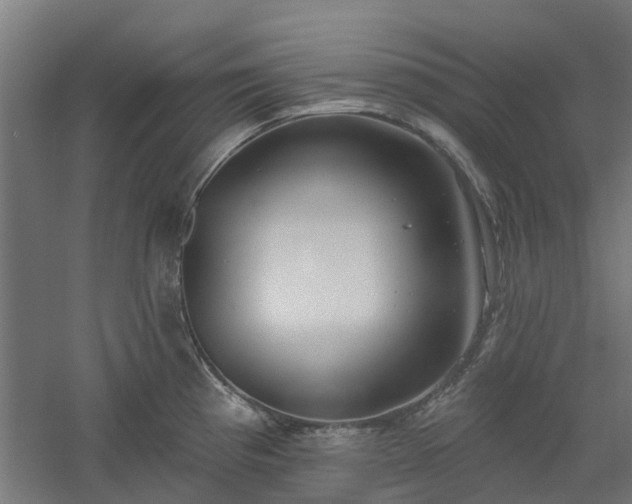 X0000061101193200511241608