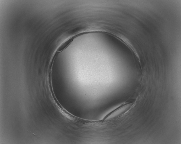 X0000061101197200511241607