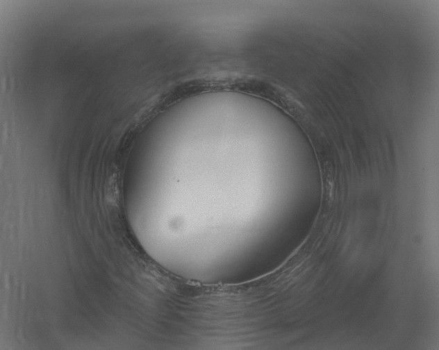 X0000061101204200511241606