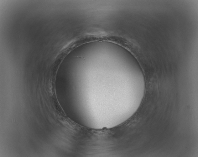 X0000061101205200511241606