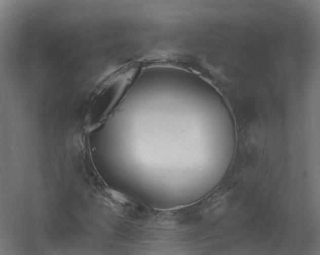 X0000061101206200511241606