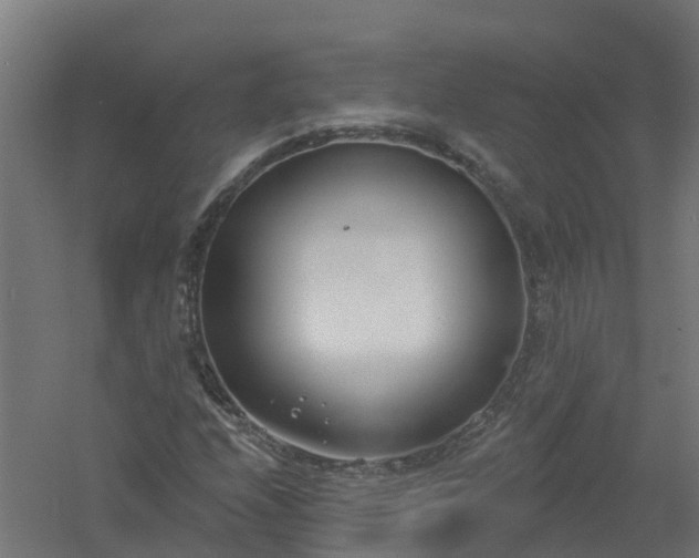 X0000061101208200511241607