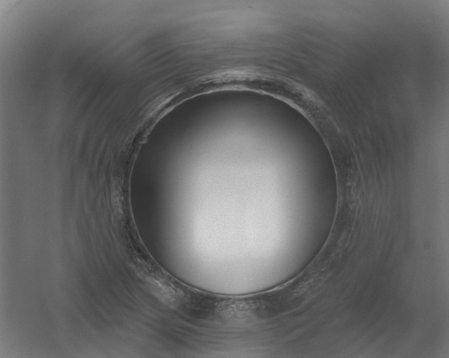 X0000061101217200511241607
