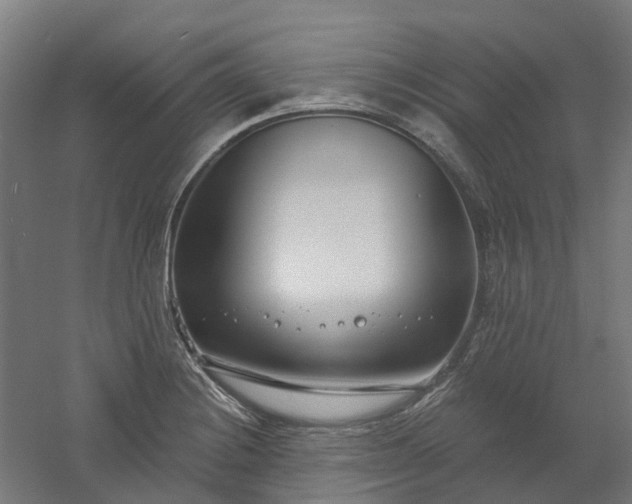 X0000061101228200511241607